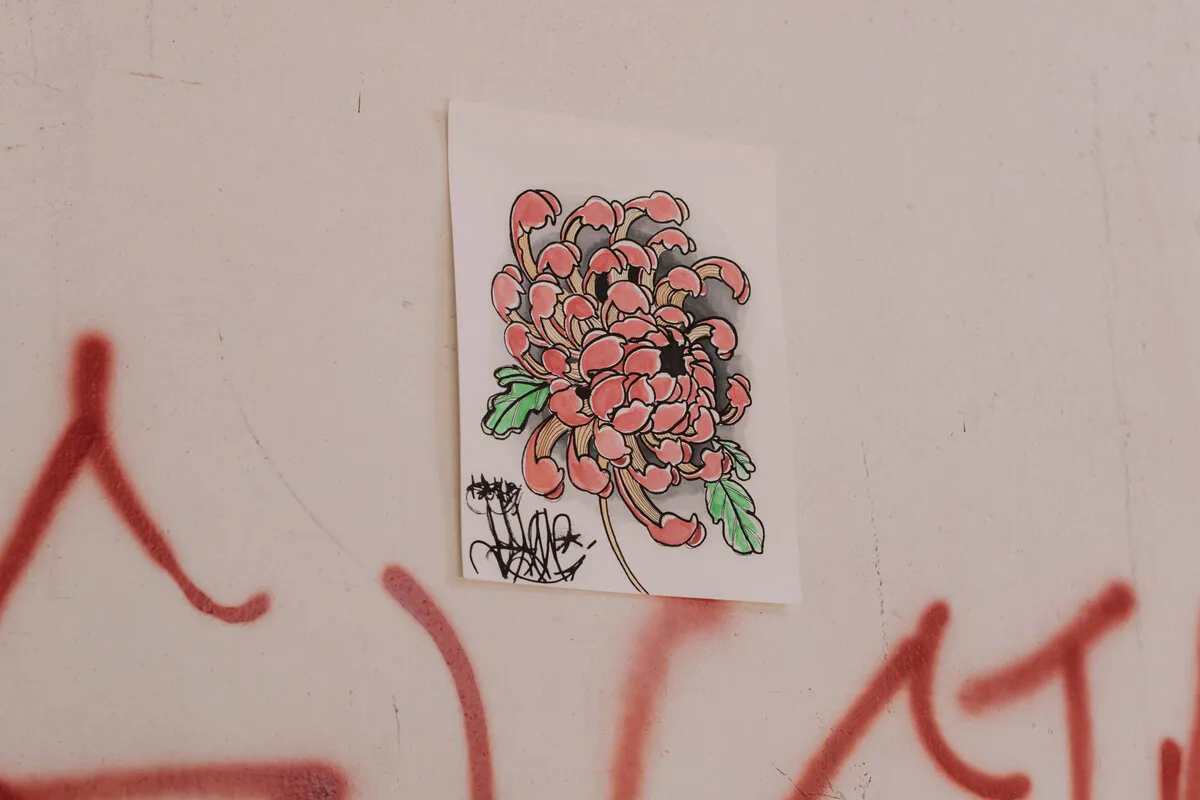 Desenho de um crisântemo de pétalas rosa contornadas em preto, com folhas verdes e uma assinatura, colado numa parede clara pichada de vermelho