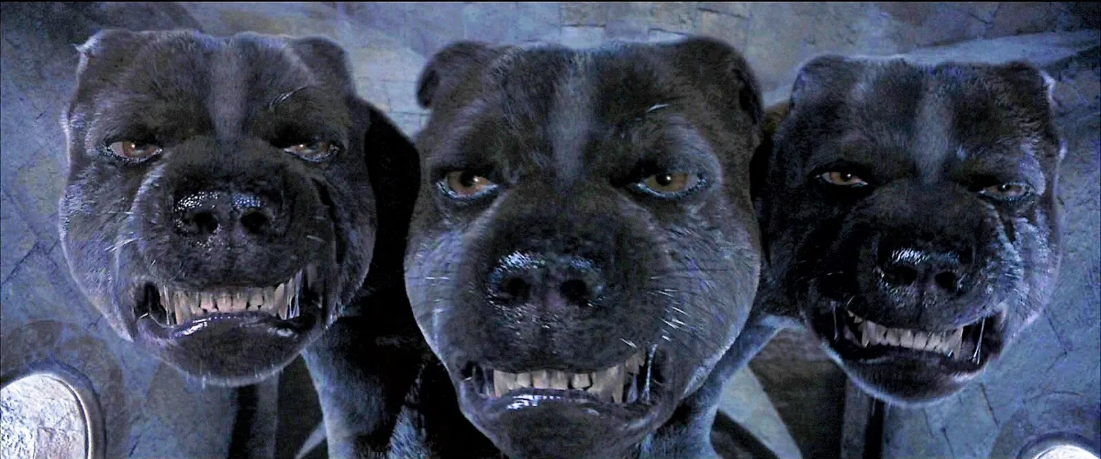 Cena do filme: as três cabeças de Fofo, um cachorro gigante de pelo cinza-azulado, rosnando e mostrando os dentes, lado a lado