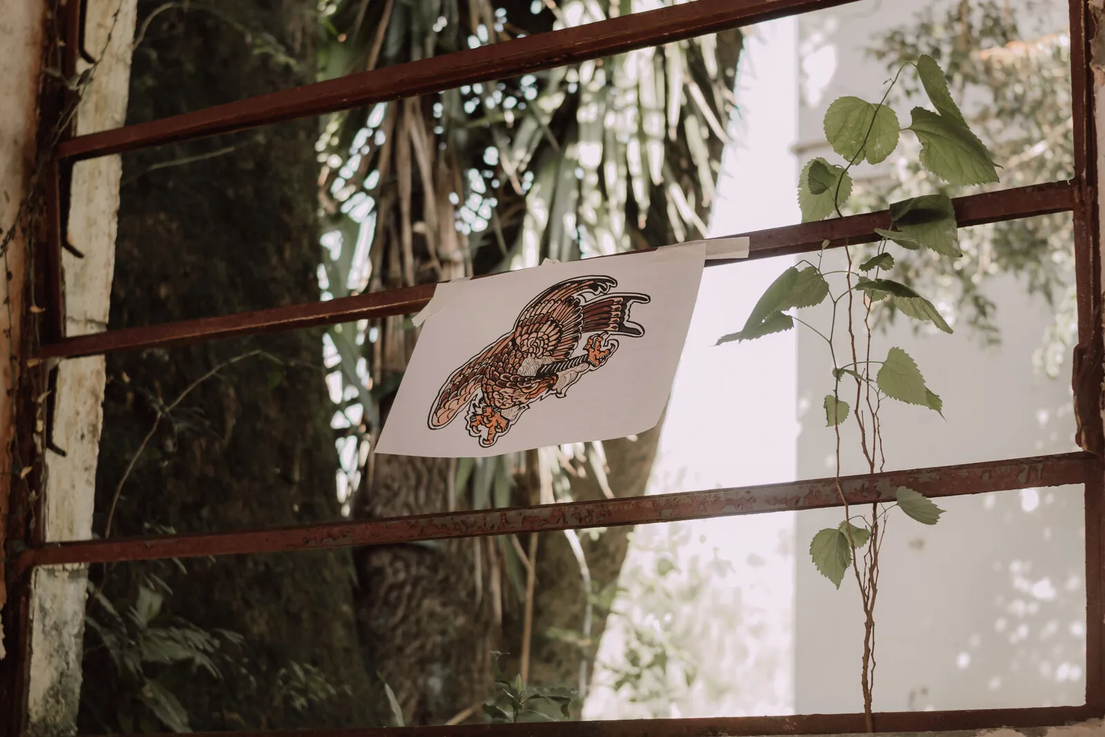 Desenho de uma águia de asas abertas preso numa grade enferrujada, com árvores e uma muda de planta ao fundo