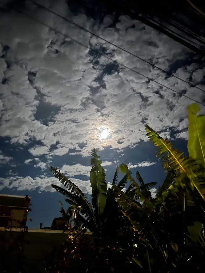 Lua cheia brilhando entre nuvens, num céu noturno azul-escuro, com folhas de bananeira e fios elétricos em primeiro plano