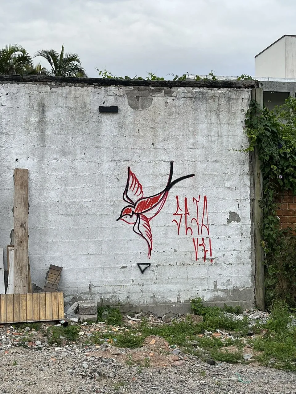 Muro branco descascado com uma andorinha pintada em vermelho e preto e a frase “Seja vc!” em spray