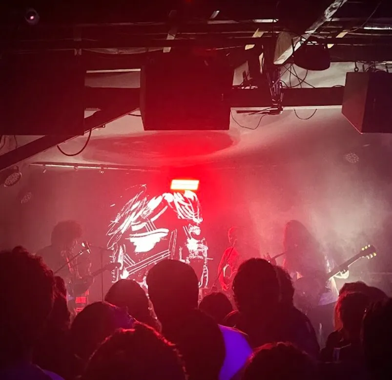 Show numa casa escura e enfumaçada, com a banda tocando guitarras sob luz vermelha, um desenho branco projetado no fundo do palco e a plateia de costas em silhueta